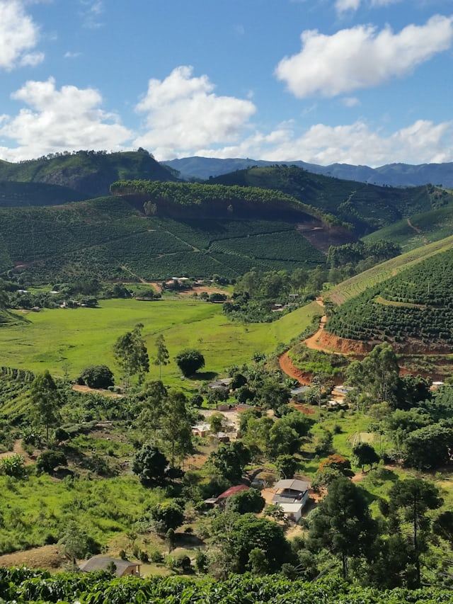 Coffee slopes in the Colombian highlands