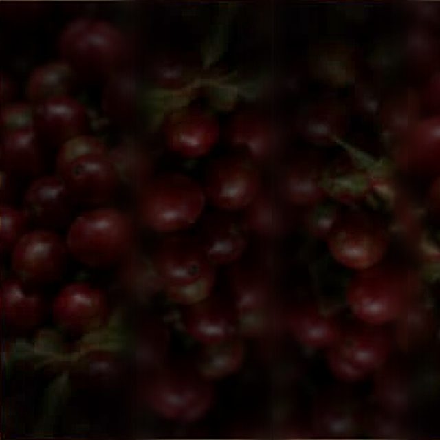 Ripe red coffee cherries